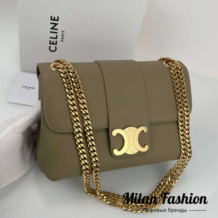 Сумка Victoire Celine V33570. Вид 1