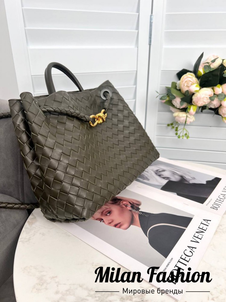 Сумка Andiamo  Bottega Veneta V33579. Вид 1
