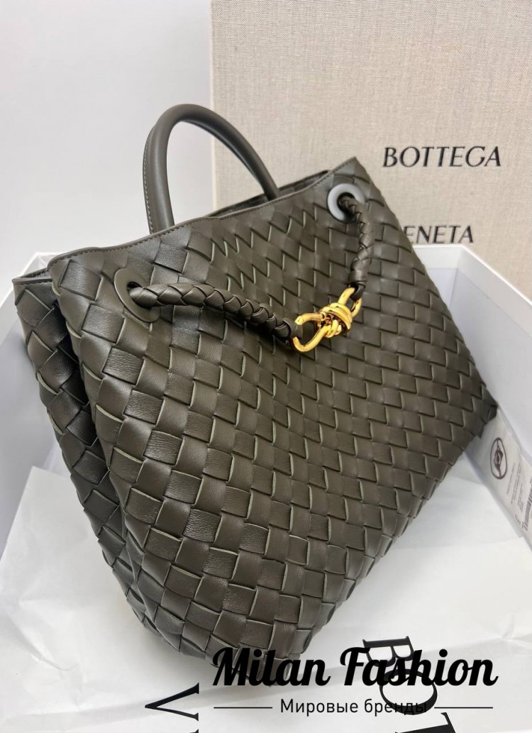 Сумка Andiamo  Bottega Veneta V33579. Вид 4