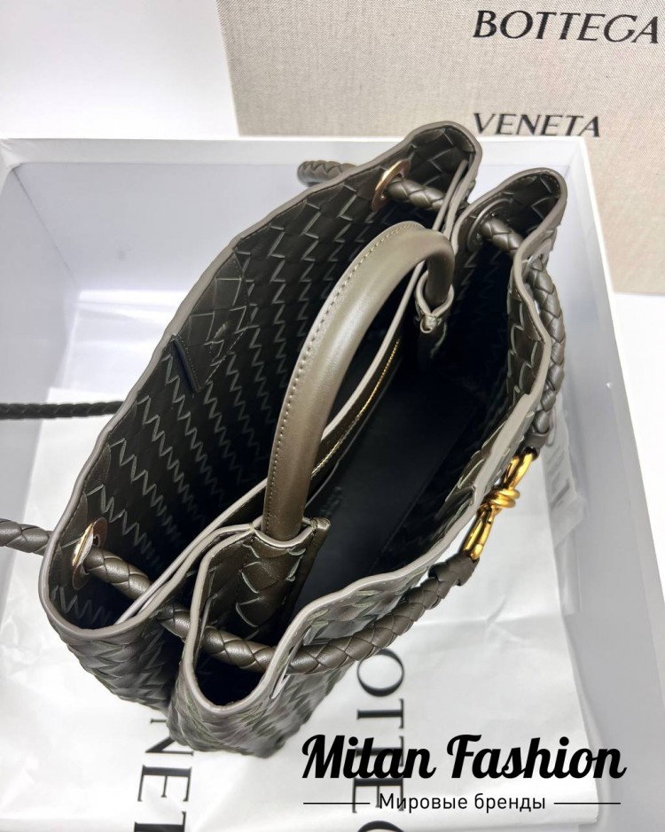 Сумка Andiamo  Bottega Veneta V33579. Вид 2