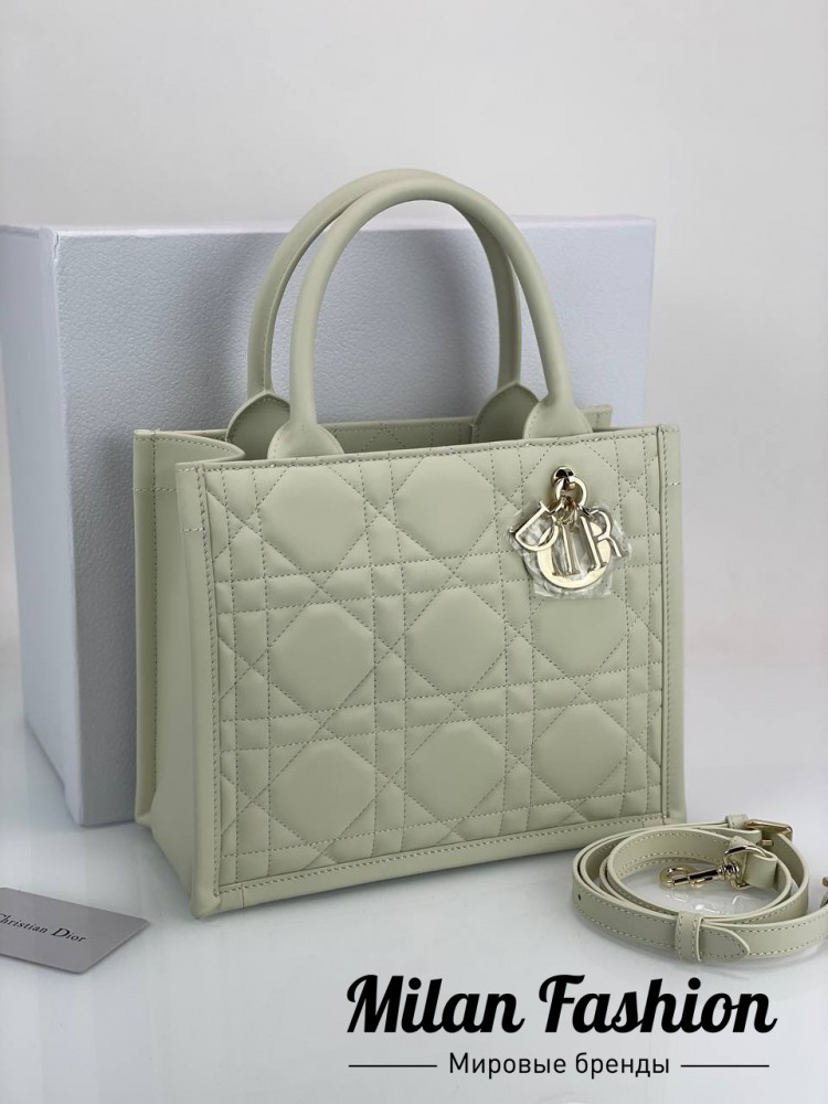 Сумка  Christian Dior V52161. Вид 1