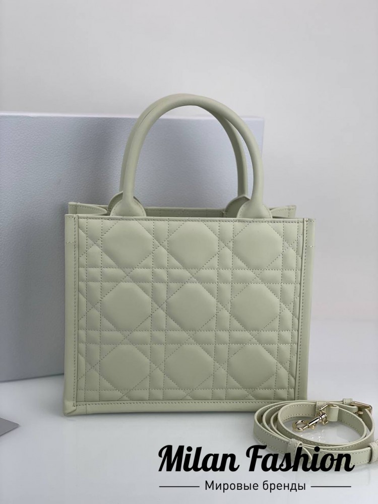 Сумка  Christian Dior V52161. Вид 2