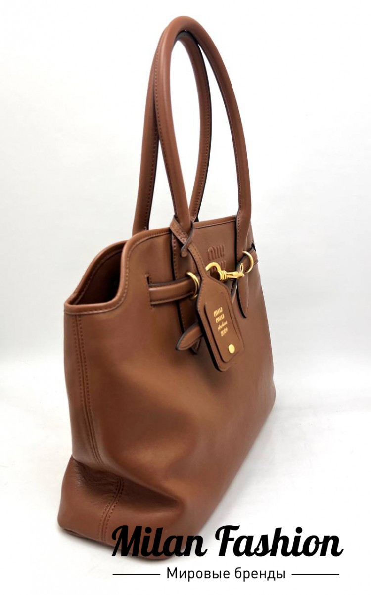 Сумка  Miu Miu V34765. Вид 2