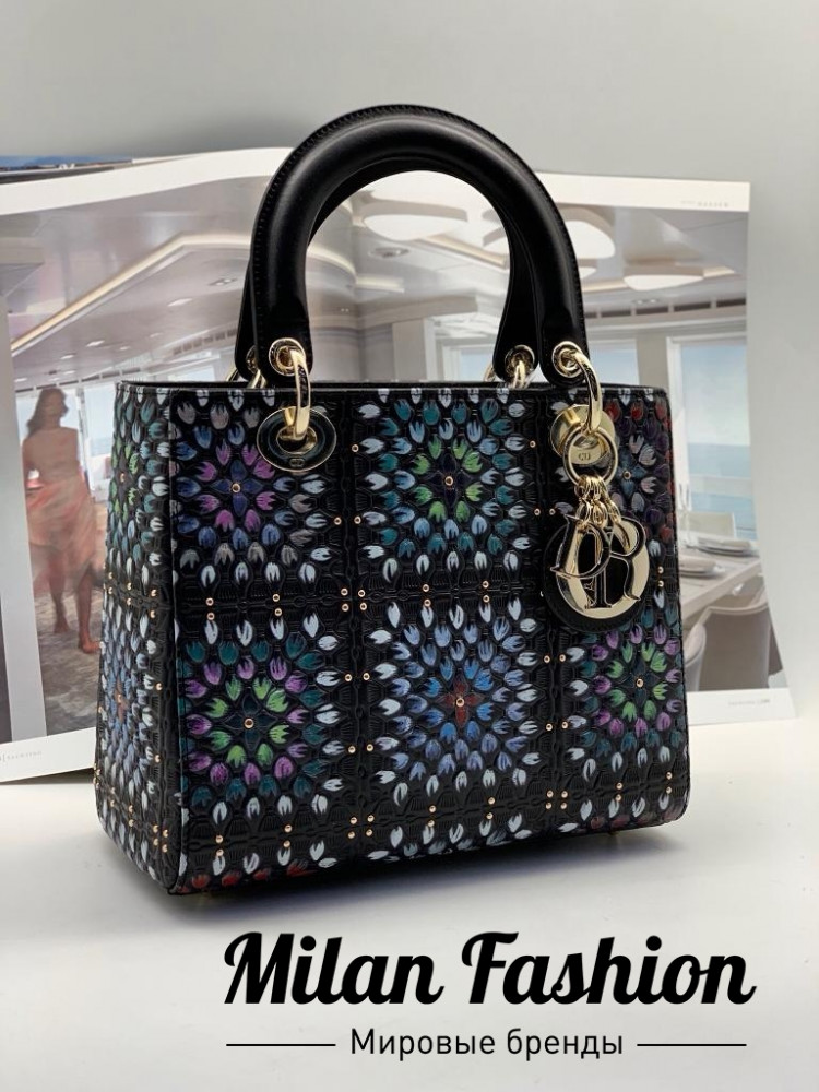 Сумка  Christian Dior ds1168. Вид 1
