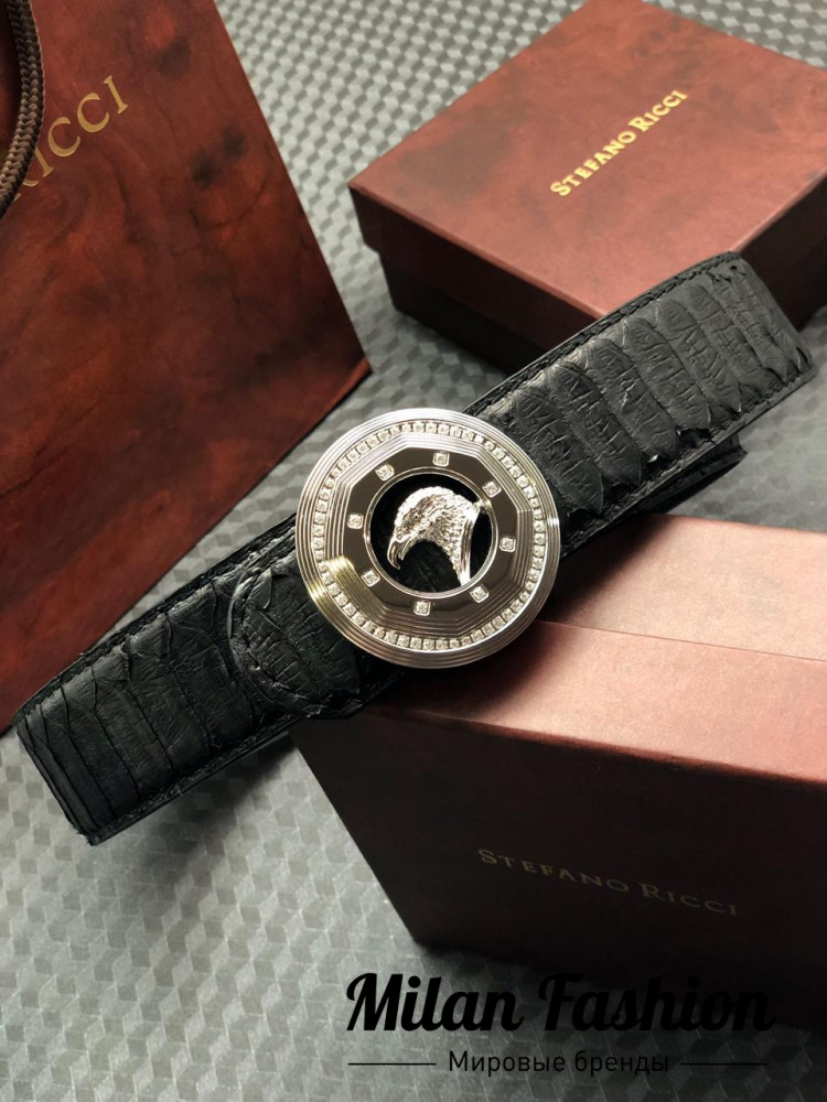Ремень Stefano Ricci gg1008 . Вид 1