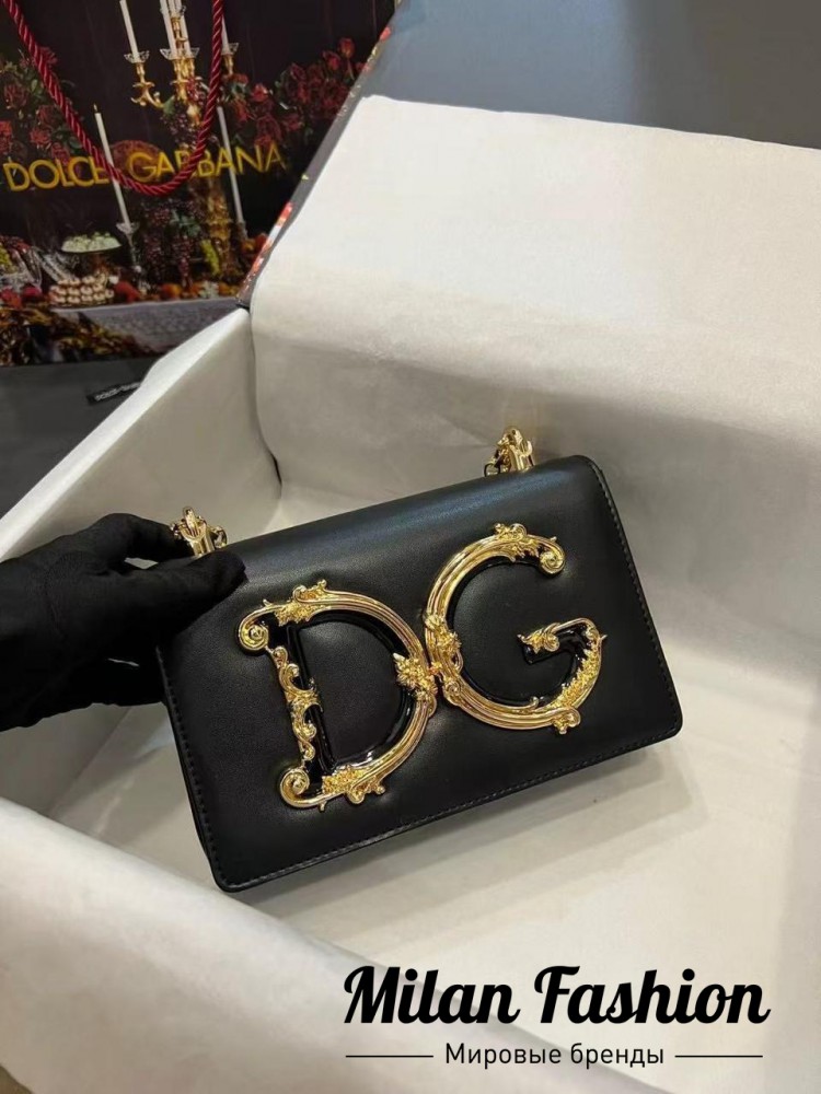 Сумка  Dolce & Gabbana V25421. Вид 1