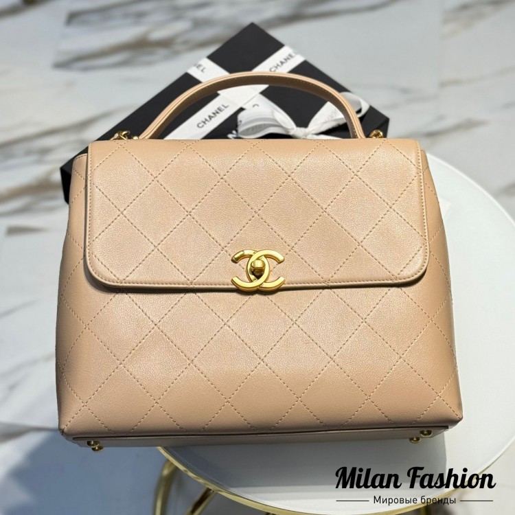 Сумка  Chanel V52580. Вид 1