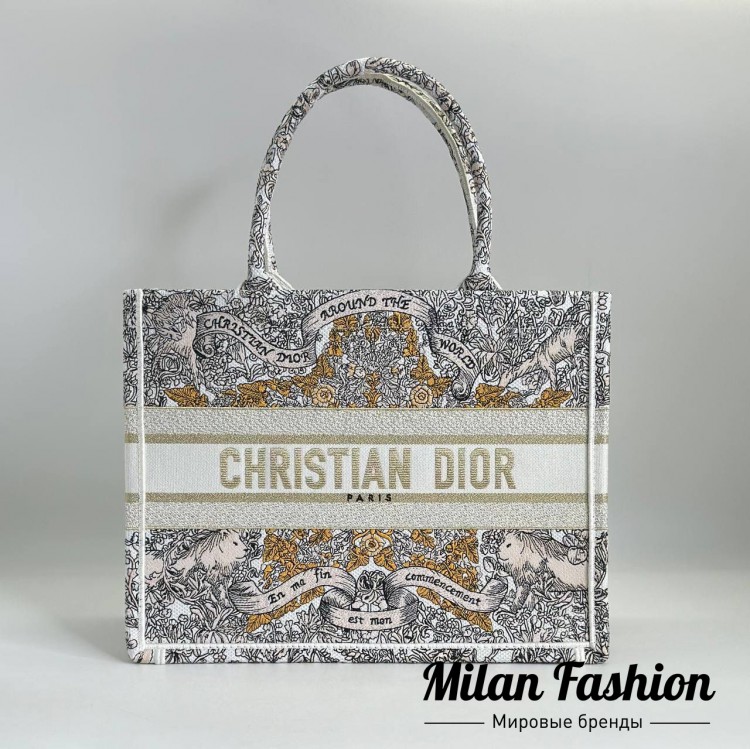 Сумка Christian Dior V52421. Вид 2