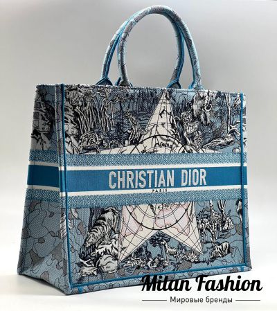 Сумка  Christian Dior #V11351