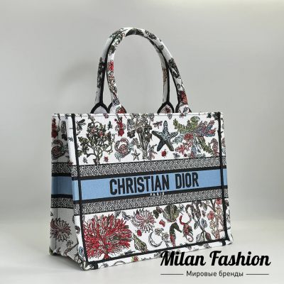 Сумка  Christian Dior #V25454