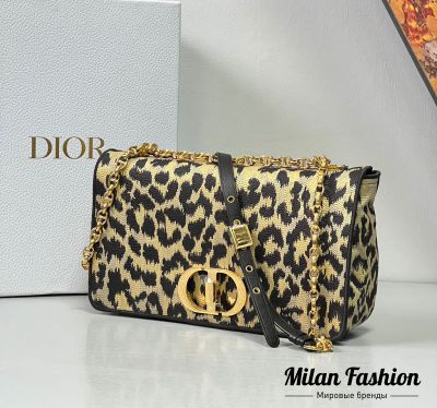 Сумка  Christian Dior #V10833