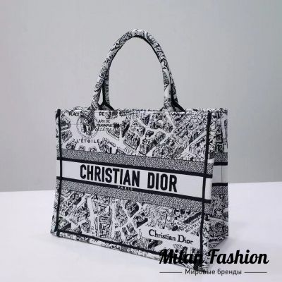 Сумка  Christian Dior #V33019