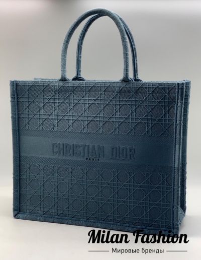 Сумка  Christian Dior #v0015