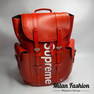Рюкзак  Louis Vuitton #V13674
