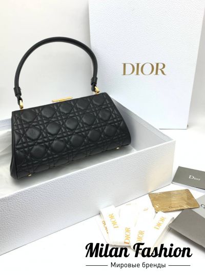 Сумка  Christian Dior #V39505