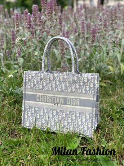 Сумка Book Tote mini Christian Dior #V3165