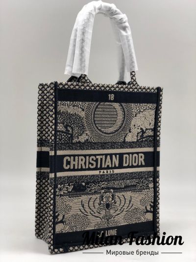 Сумка женская Christian Dior #v0250