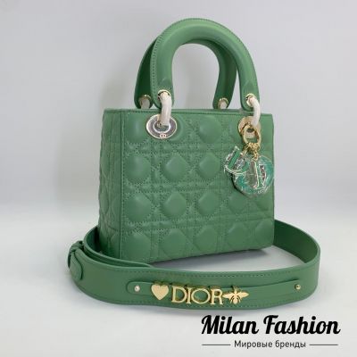 Сумка  Christian Dior #V6080