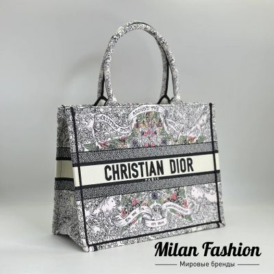 Сумка  Christian Dior #V24558